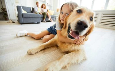 Keeping Pets Safe Around Cleaning Products
